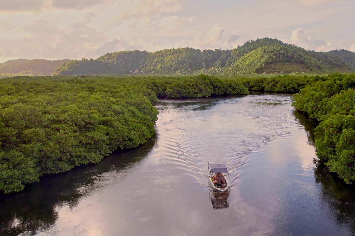siargao-mangrove-tour