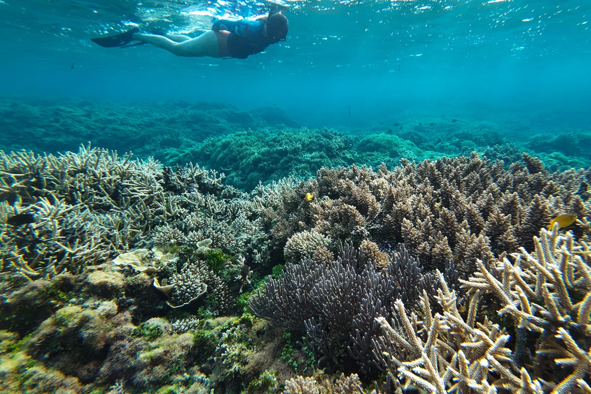 snorkeling-around-siargao
