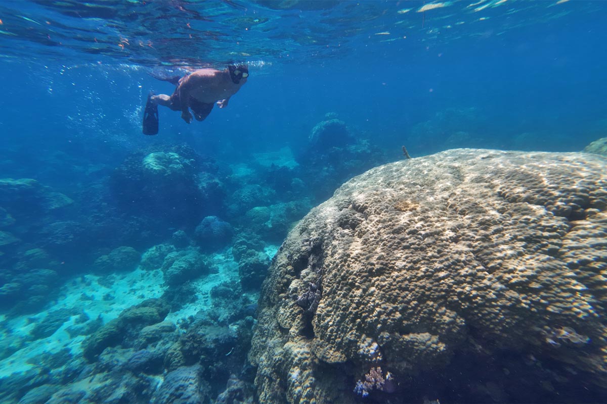snorkeling-in-siargao