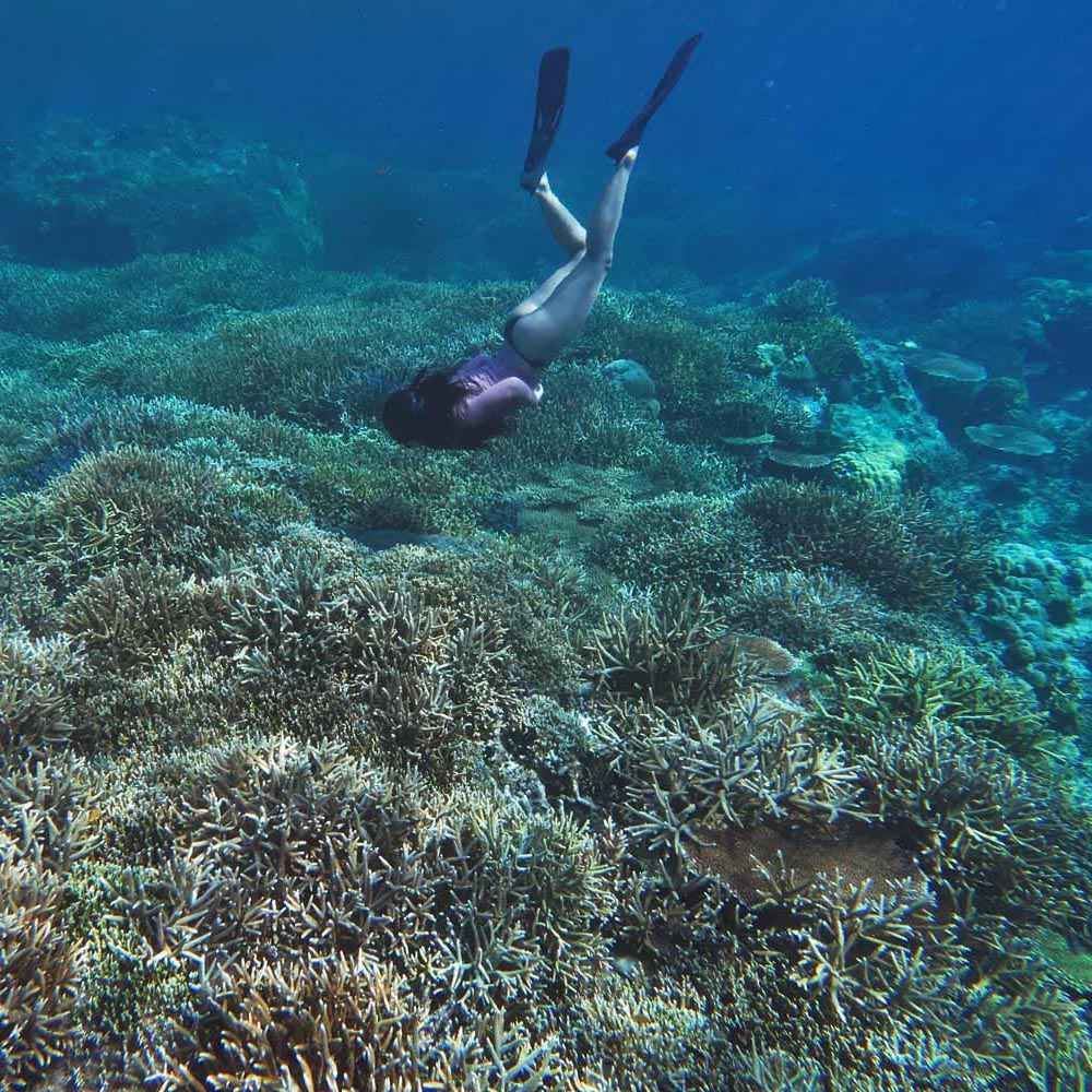 snorkeling-siargao