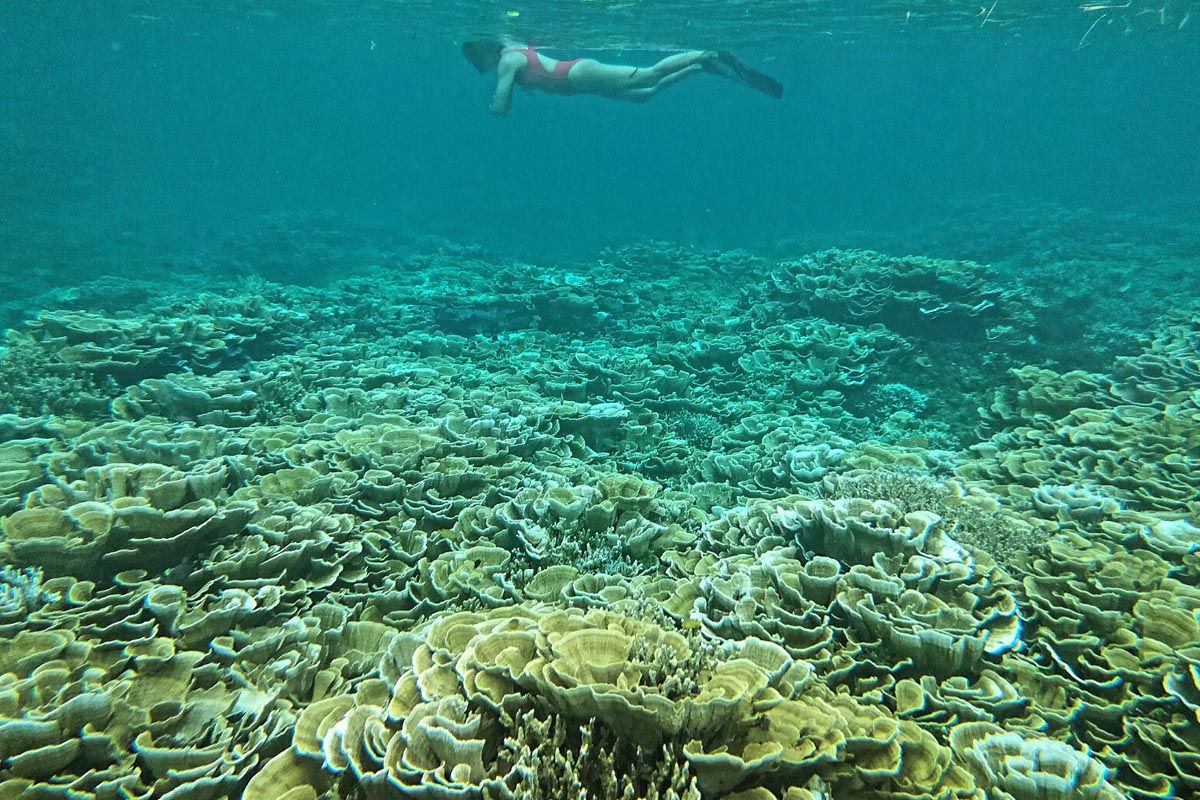 sohoton-snorkel-tour