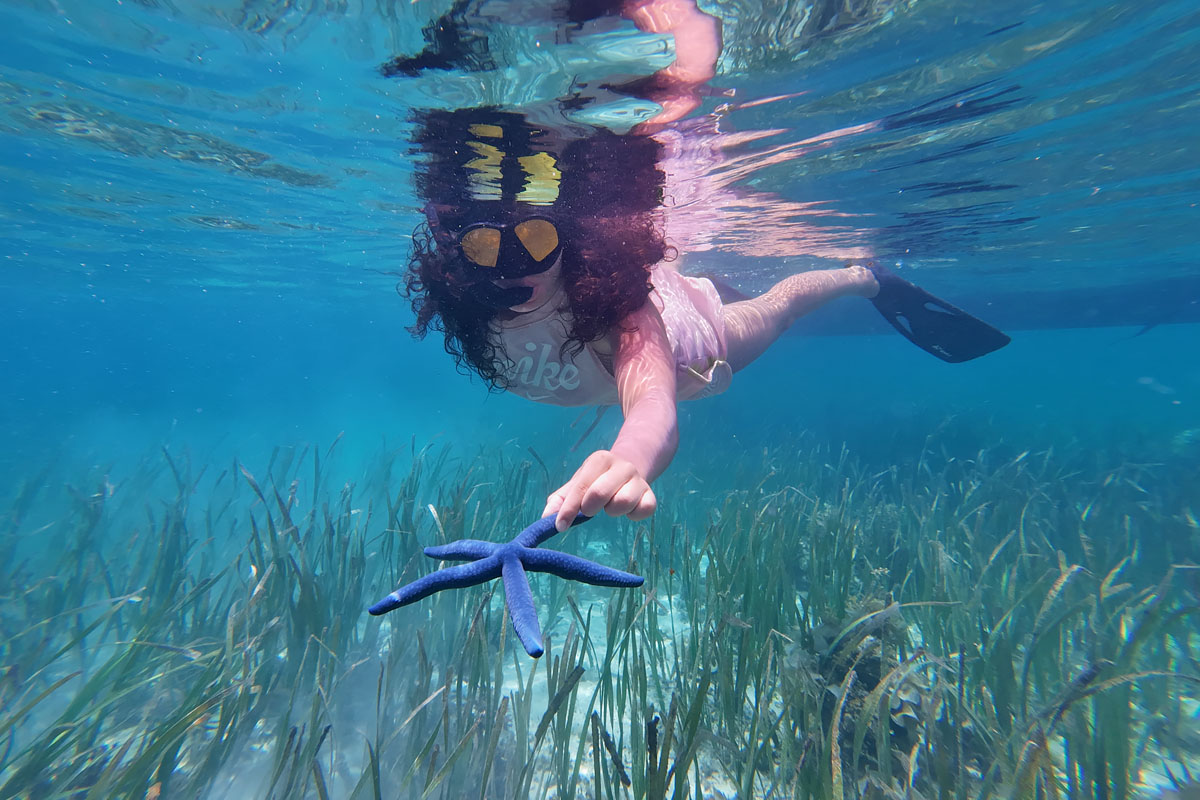 snorkeling-starfish-siargao
